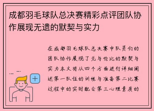 成都羽毛球队总决赛精彩点评团队协作展现无遗的默契与实力