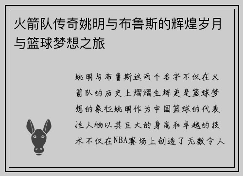 火箭队传奇姚明与布鲁斯的辉煌岁月与篮球梦想之旅