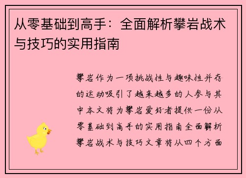 从零基础到高手：全面解析攀岩战术与技巧的实用指南