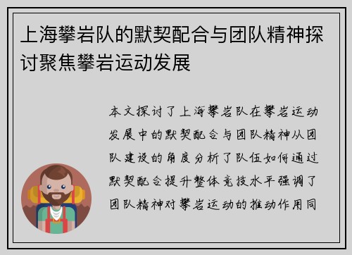 上海攀岩队的默契配合与团队精神探讨聚焦攀岩运动发展