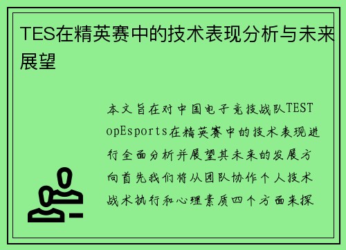 TES在精英赛中的技术表现分析与未来展望